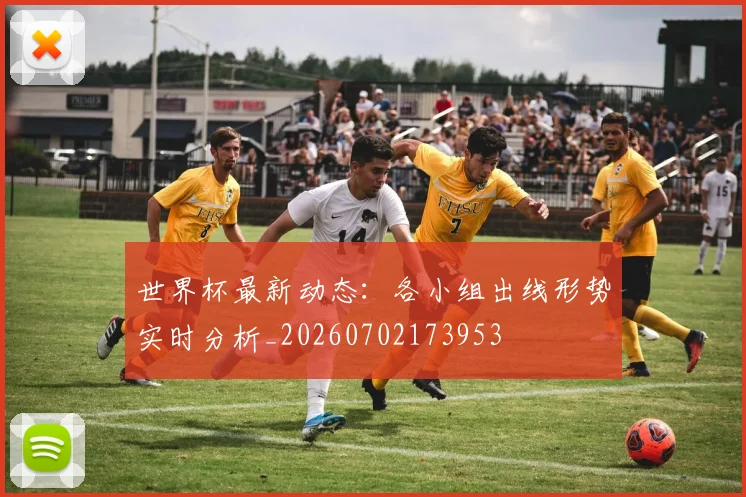 世界杯最新动态：各小组出线形势实时分析_20260702173953