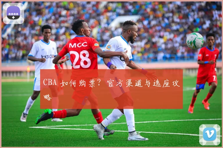 CBA 如何购票?官方渠道与选座攻略