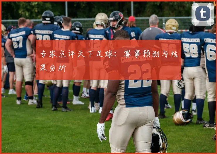 专家点评天下足球：赛事预测与结果分析